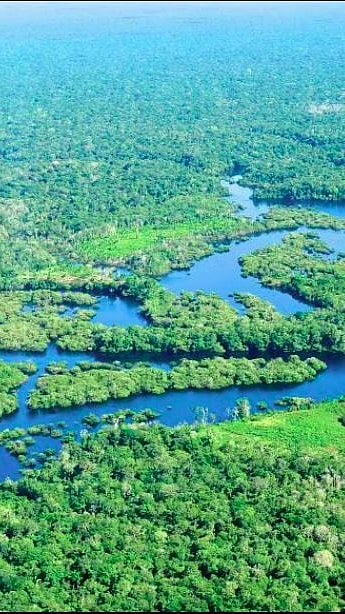 ലോകത്തിലെ ഏറ്റവും വലിയ നീര്‍ത്തട വ്യവസ്ഥ; ആമസോണ്‍ നദി വറ്റിത്തുടങ്ങി
